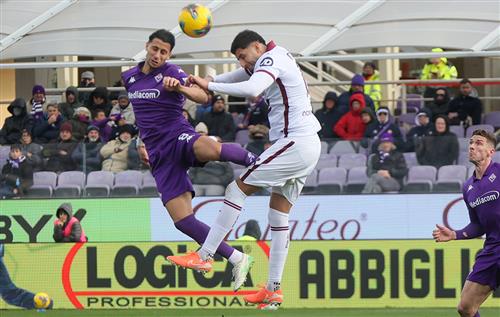 Fiorentina vs Torino